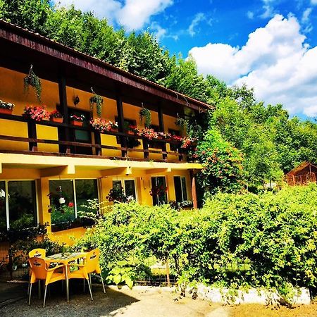 House In The Woods Bed & Breakfast Resita Ngoại thất bức ảnh