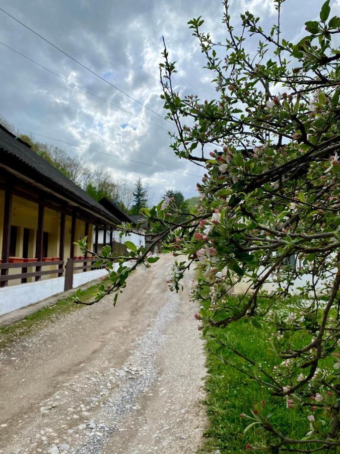 House In The Woods Bed & Breakfast Resita Ngoại thất bức ảnh
