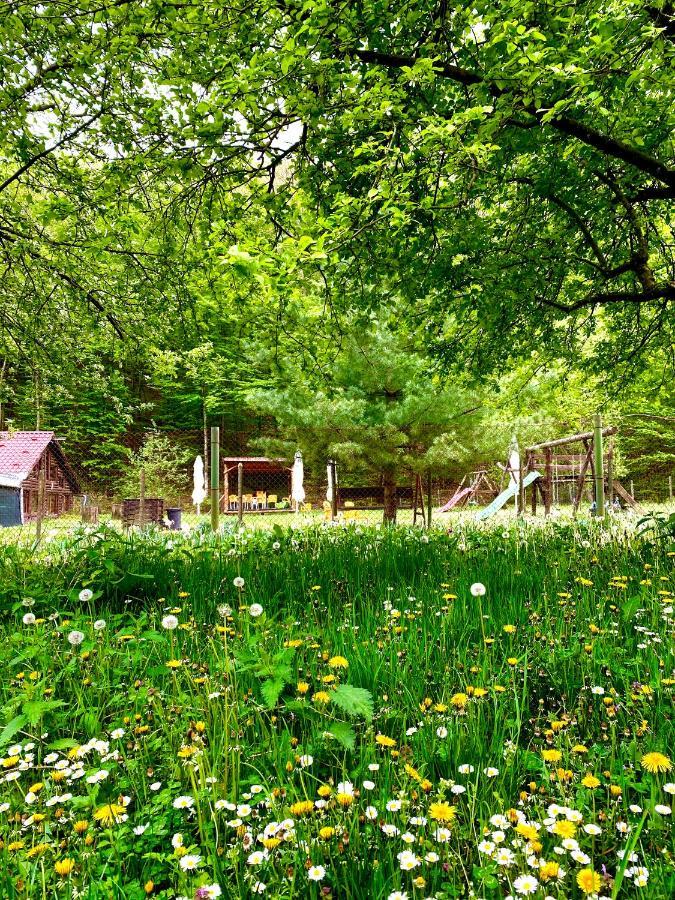 House In The Woods Bed & Breakfast Resita Ngoại thất bức ảnh