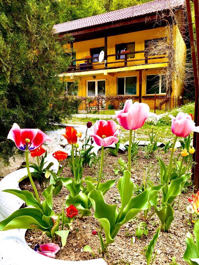 House In The Woods Bed & Breakfast Resita Ngoại thất bức ảnh