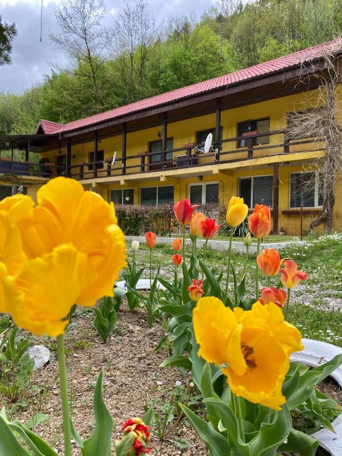 House In The Woods Bed & Breakfast Resita Ngoại thất bức ảnh