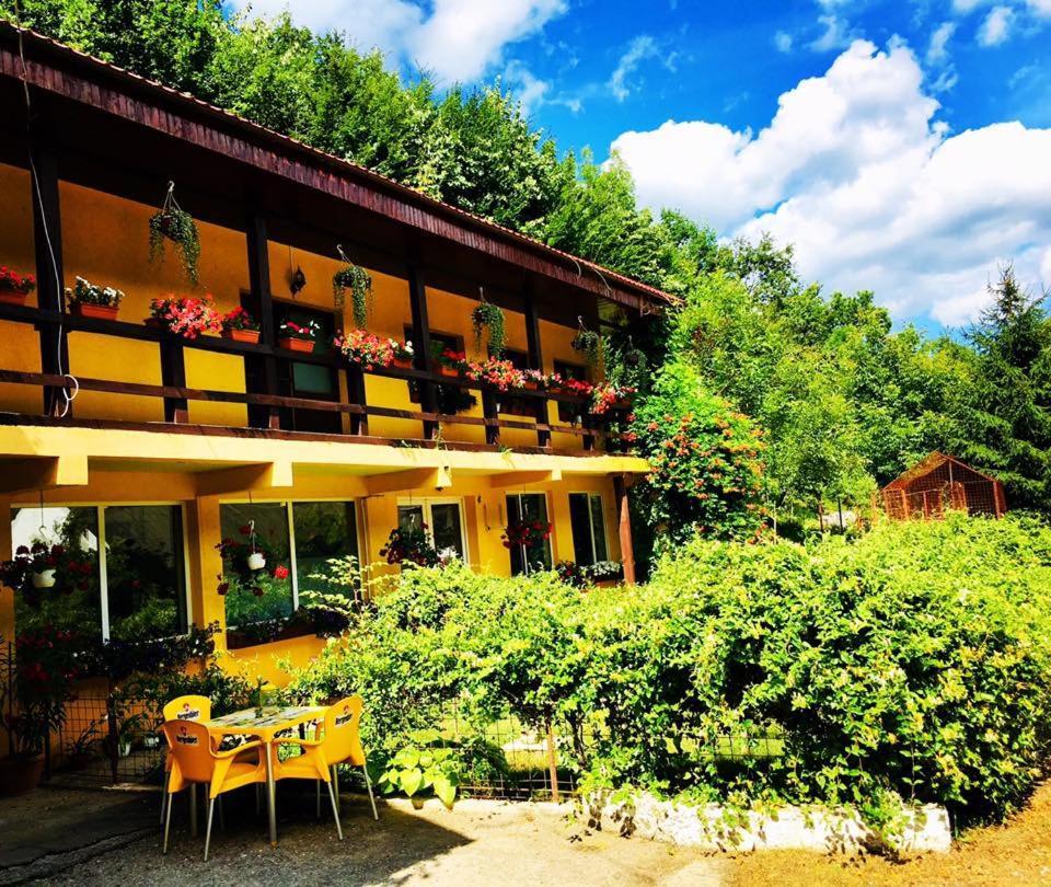 House In The Woods Bed & Breakfast Resita Ngoại thất bức ảnh