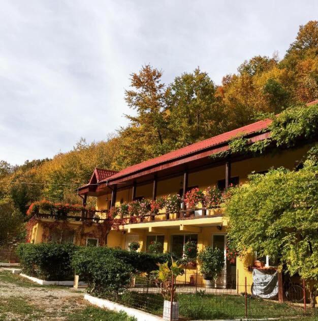House In The Woods Bed & Breakfast Resita Ngoại thất bức ảnh