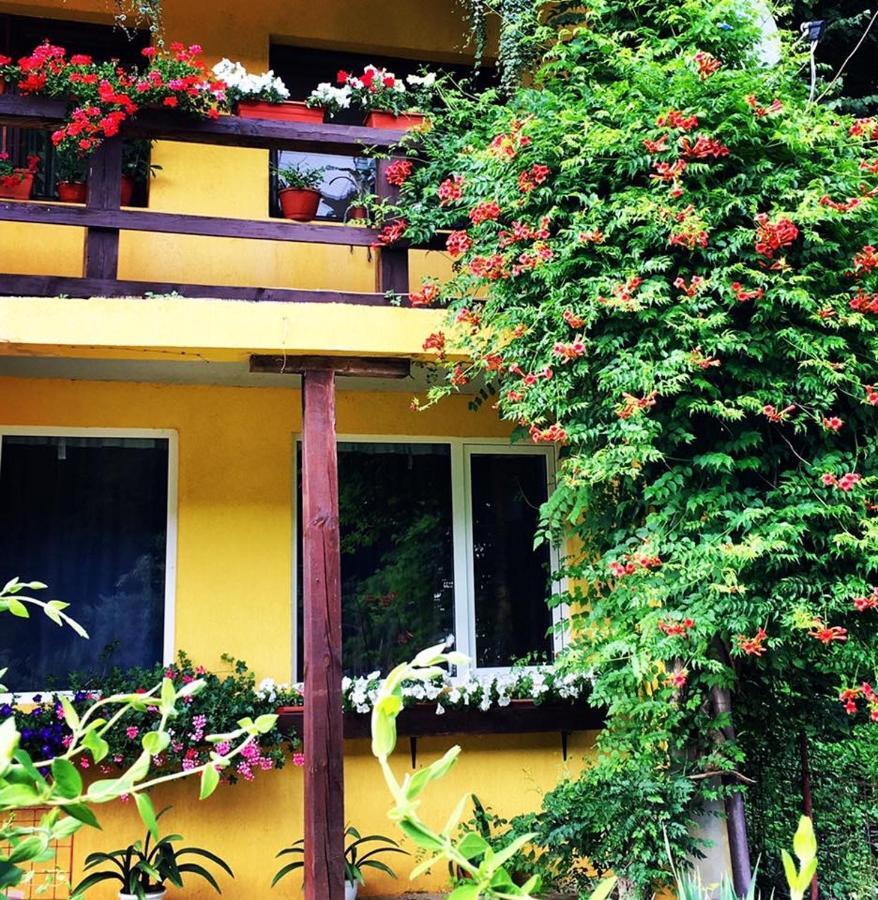 House In The Woods Bed & Breakfast Resita Ngoại thất bức ảnh