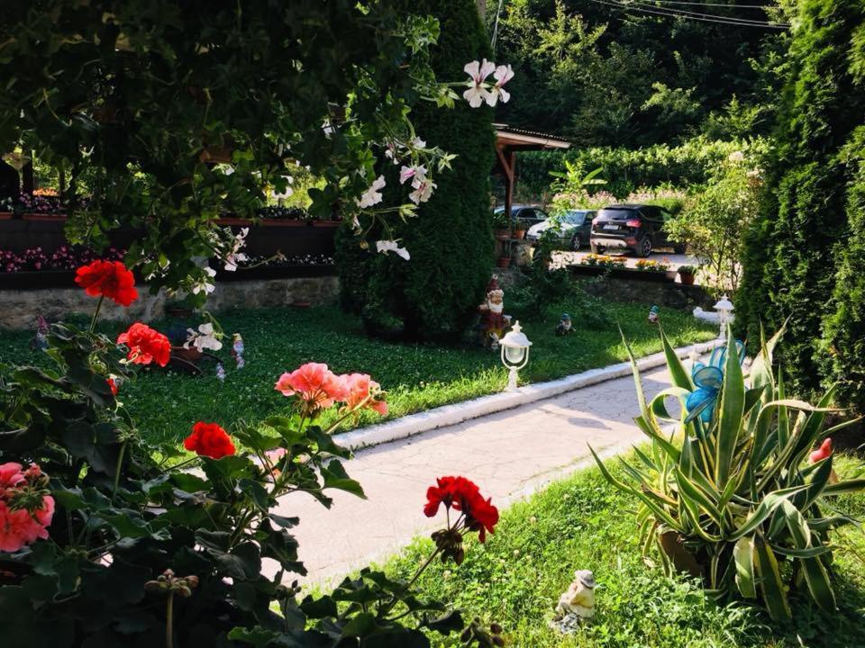 House In The Woods Bed & Breakfast Resita Ngoại thất bức ảnh