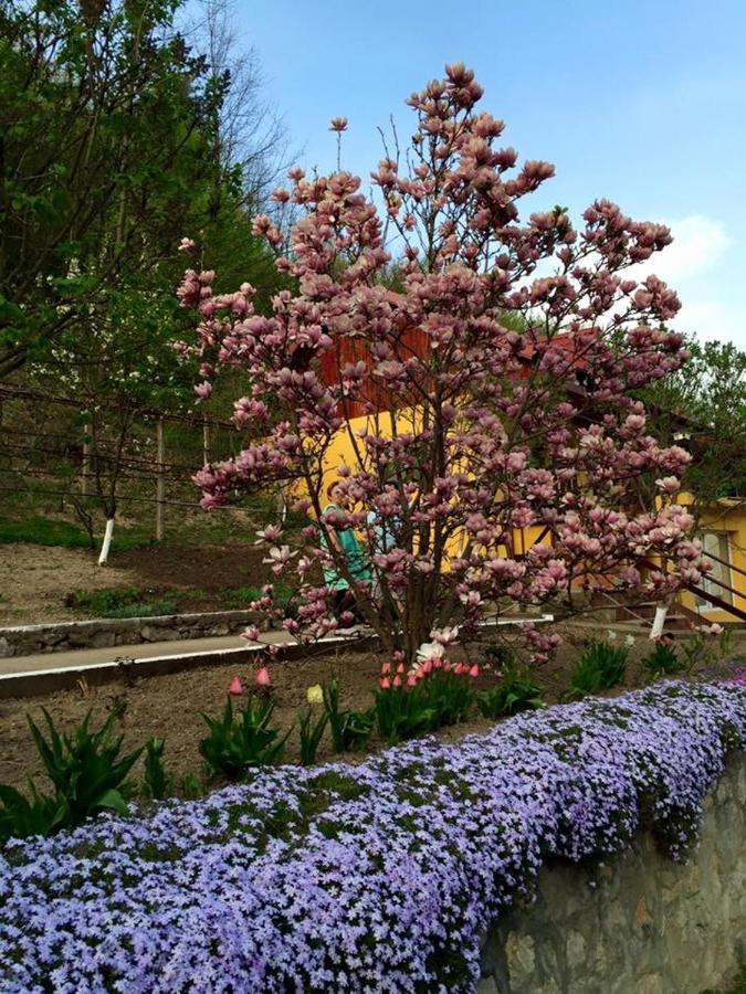 House In The Woods Bed & Breakfast Resita Ngoại thất bức ảnh