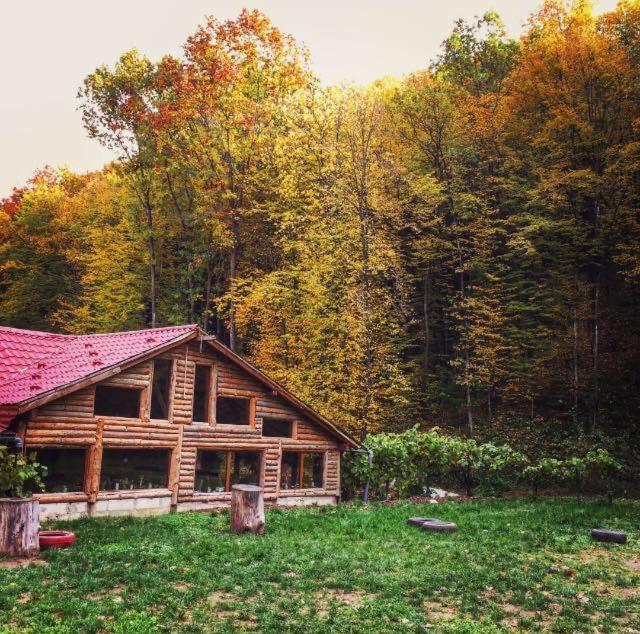 House In The Woods Bed & Breakfast Resita Ngoại thất bức ảnh