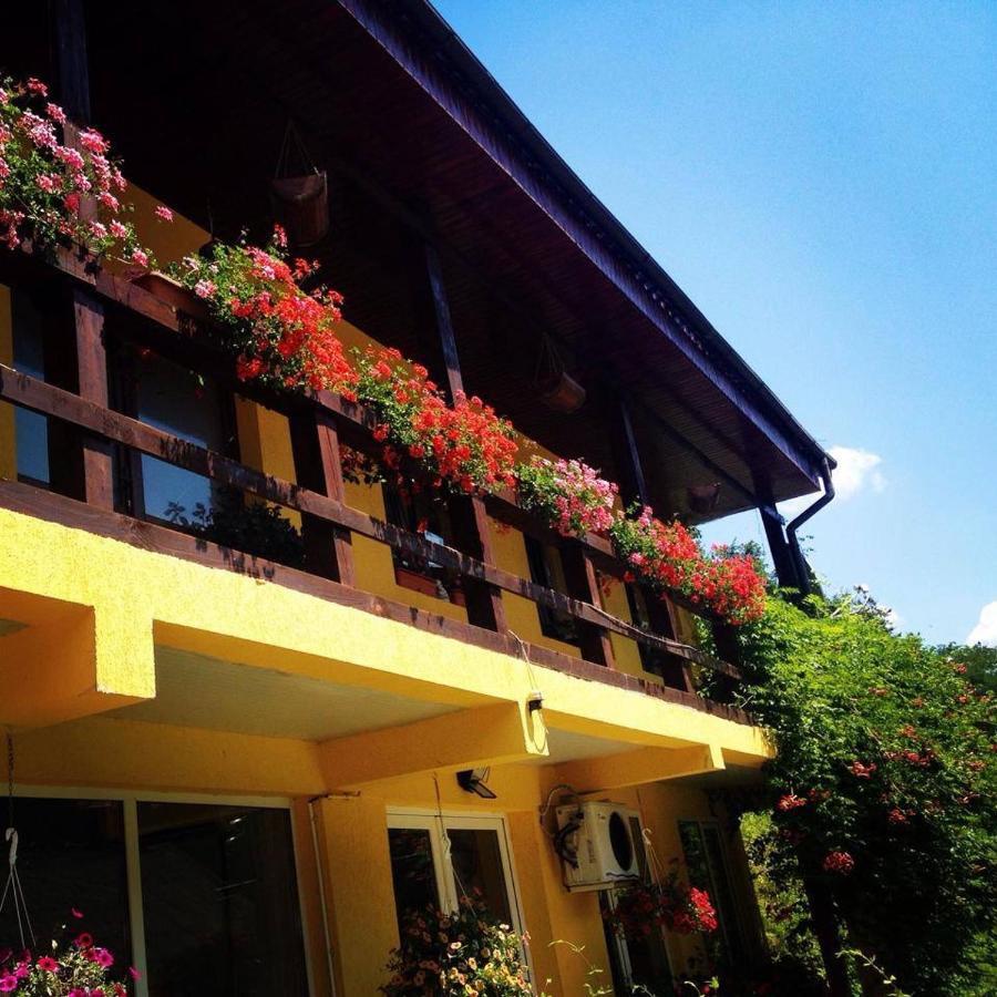 House In The Woods Bed & Breakfast Resita Ngoại thất bức ảnh