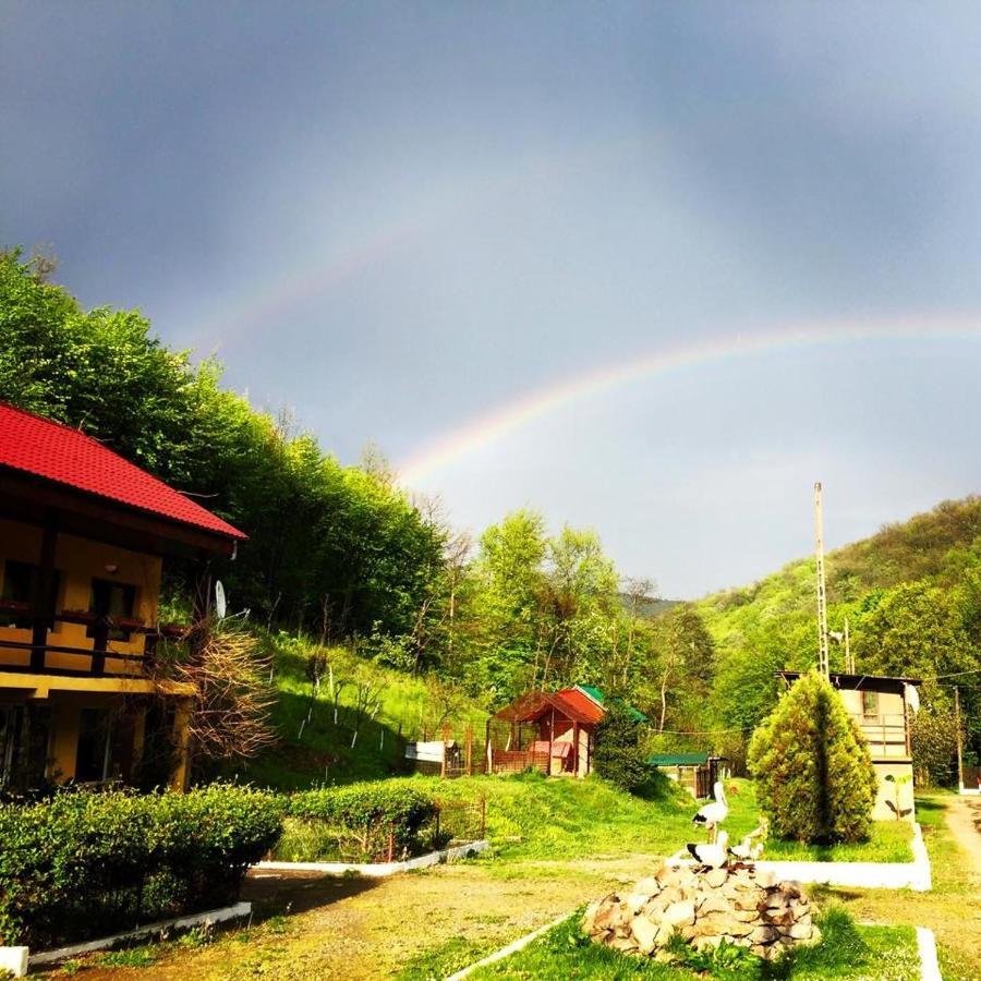 House In The Woods Bed & Breakfast Resita Ngoại thất bức ảnh