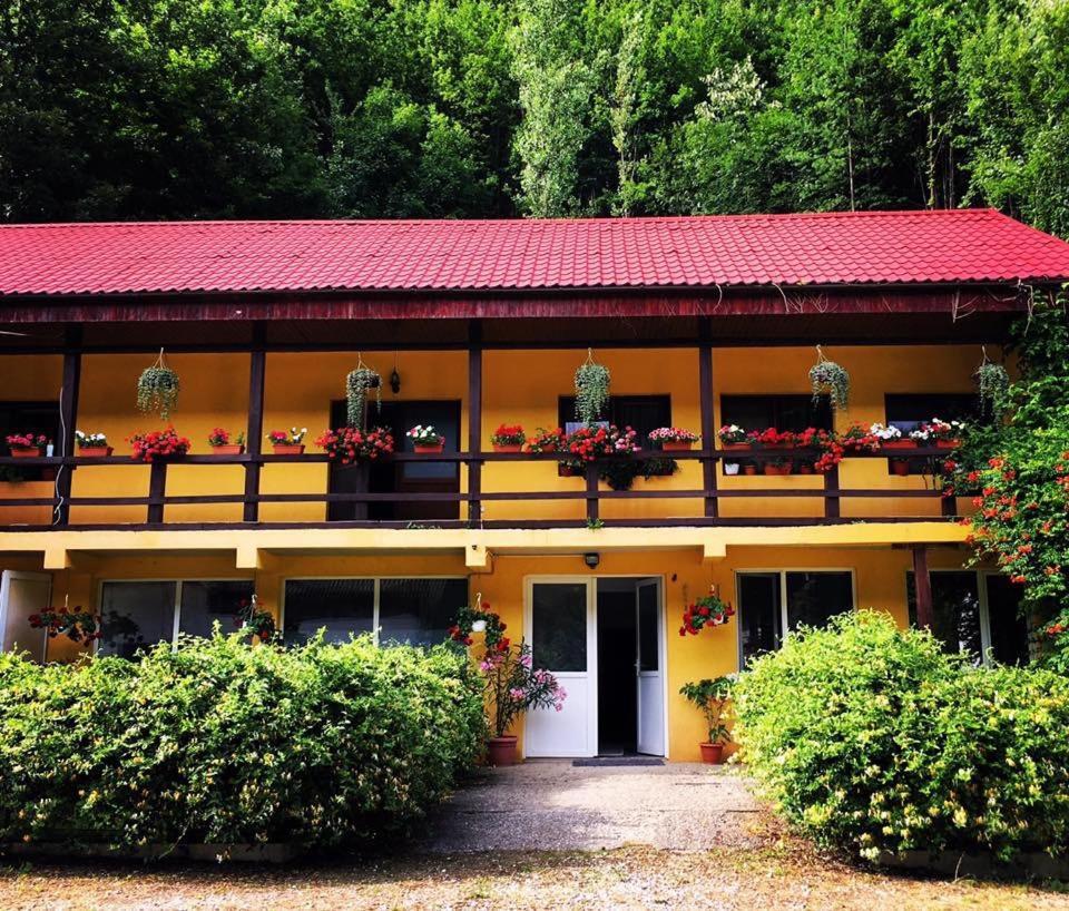 House In The Woods Bed & Breakfast Resita Ngoại thất bức ảnh